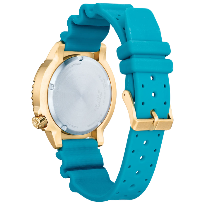 Citizen Promaster Dive BN0162-02X - Time After Time Watches