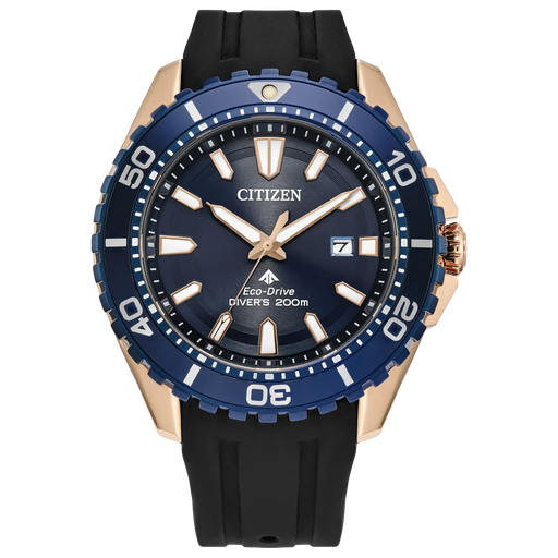 Citizen Promaster Diver BN0196-01L - Time After Time Watches