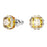 Swarovski SWAROVSKI BIRTHSTONE STUD EARRINGS NOVEMBER - Time After Time Watches