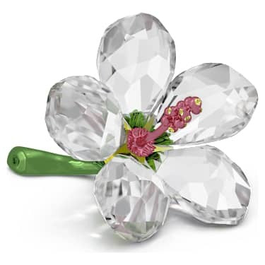 SWAROVSKI FLORERE HIBISCUS