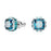 Swarovski SWAROVSKI BIRTHSTONE STUD EARRINGS DECEMBER - Time After Time Watches