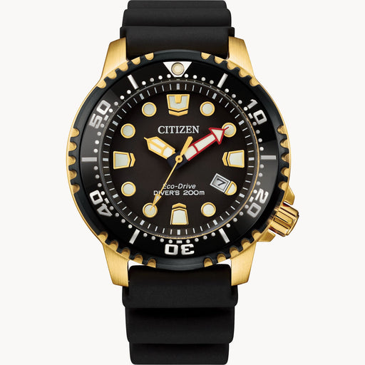 Citizen Citizen Promaster Diver BN0152-06E - Time After Time Watches