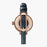 Shinola, Birdy 34mm Moon Phase White Dial Navy Leather Rose Gold PVD Case