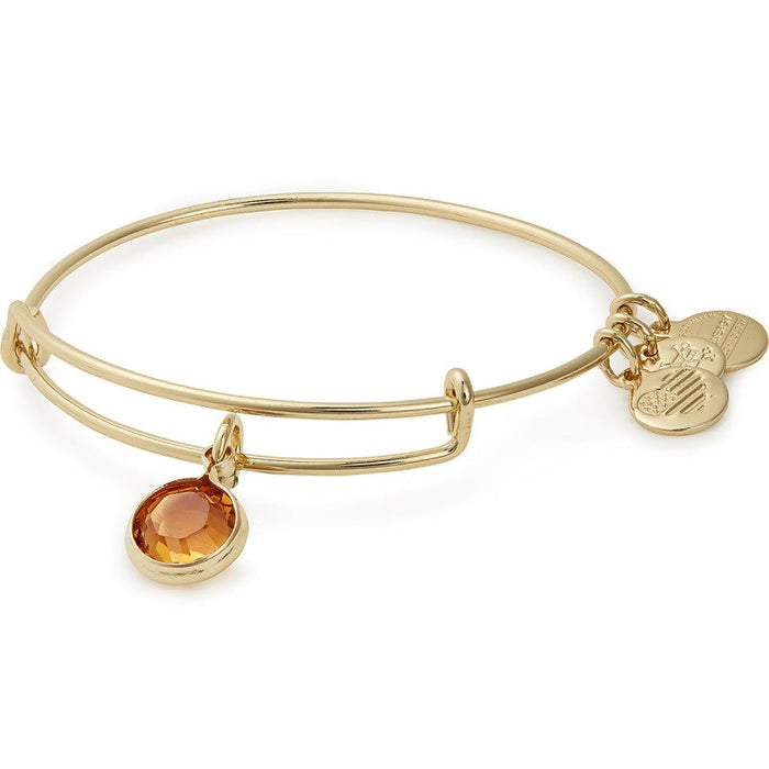 Alex and ani deals swarovski crystal necklace