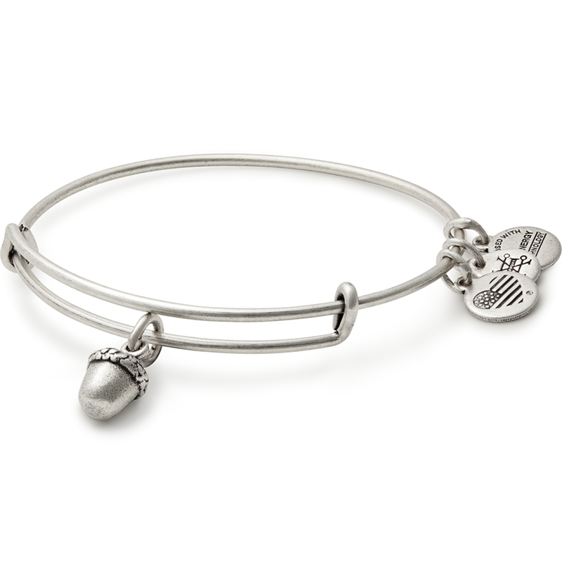 Alex and Ani Unexpected Blessings Charm Bangle