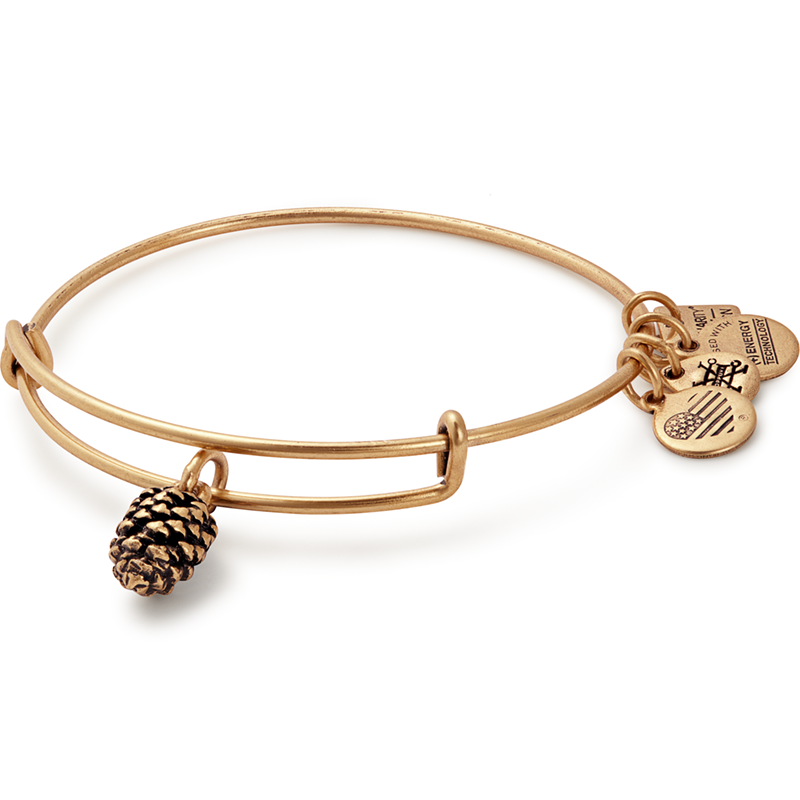 Alex and Ani Pinecone Charm Bangle Plan International Time